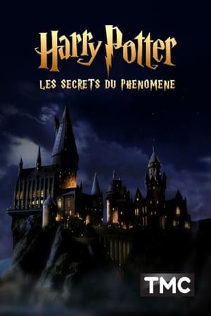 Harry Potter : les secrets du phénomène