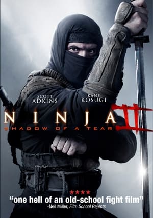 Ninja 2: Ombre d'une déchirure